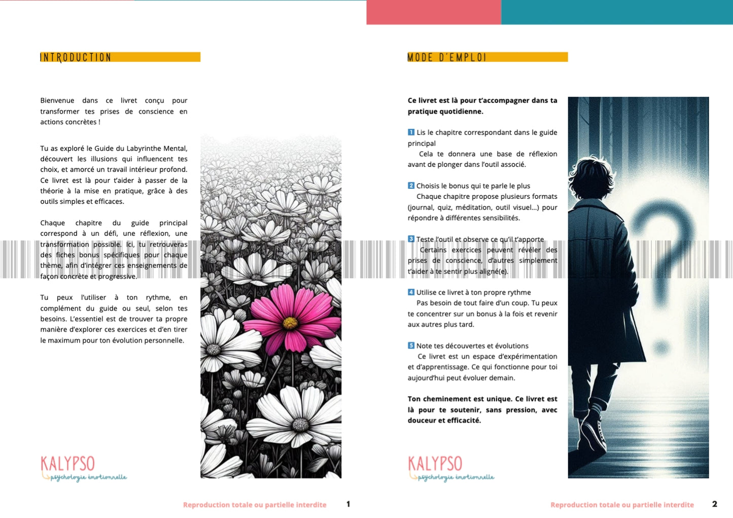Le Labyrinthe Mental - Livret Bonus - PDF