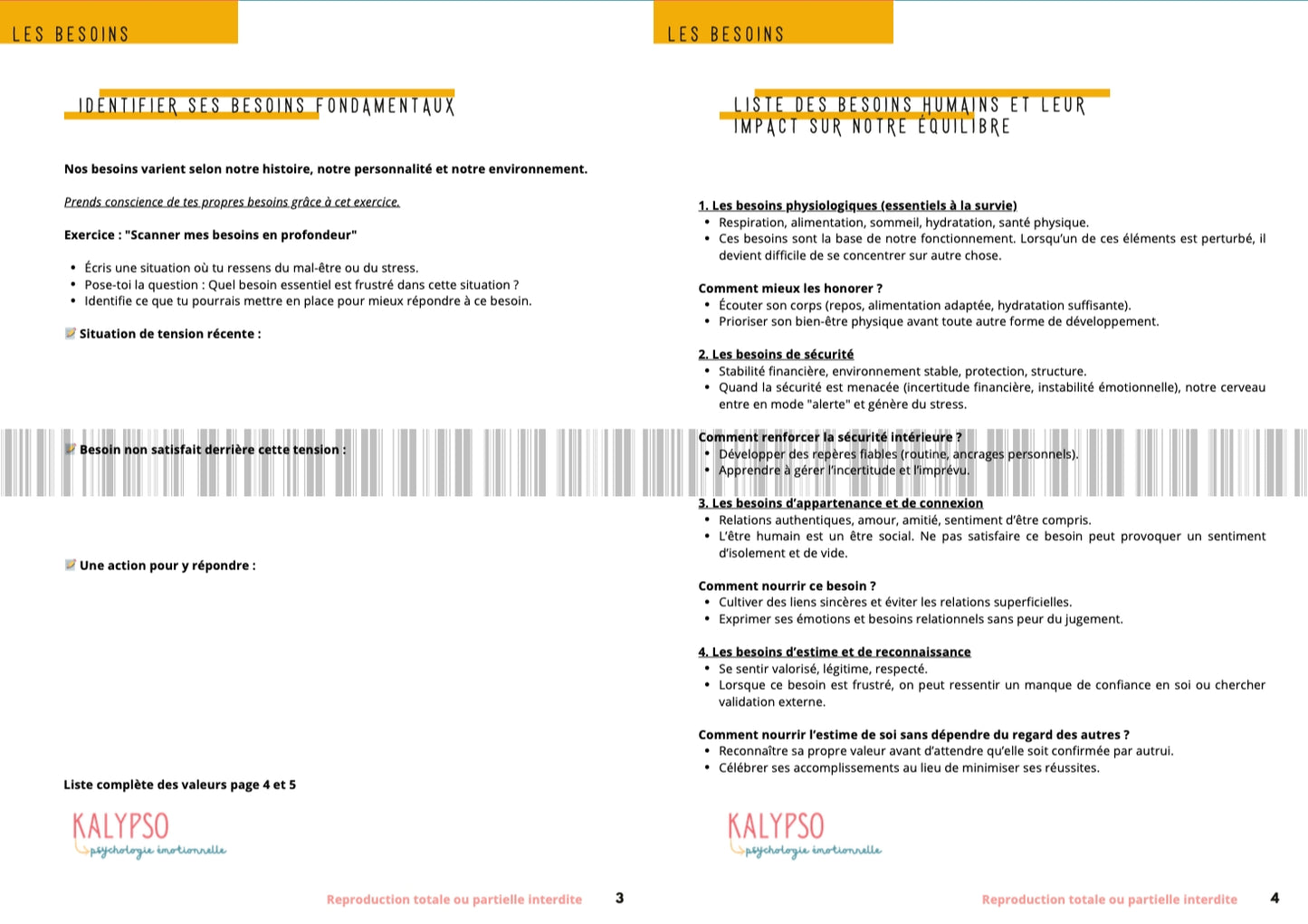 Le Guide des Besoins et Valeurs - PDF