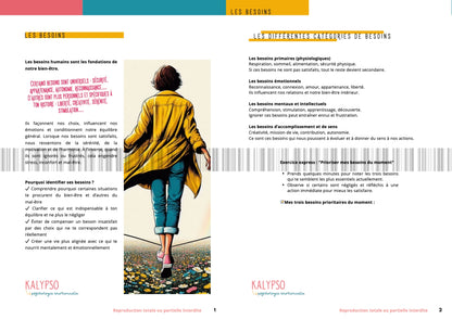 Le Guide des Besoins et Valeurs - PDF