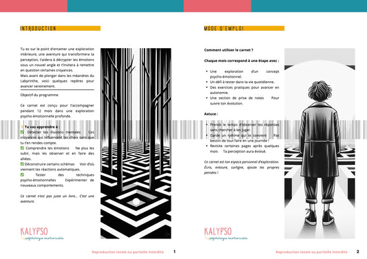 Le labyrinthe mental - Guide complet PDF