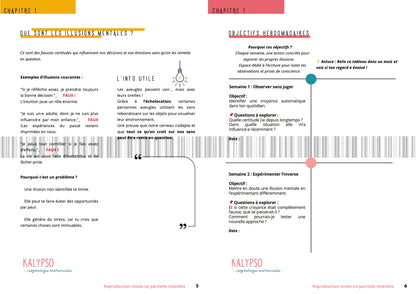 Le labyrinthe mental - Guide complet PDF